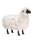 Phillippe Sheep Sculpture