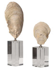 Oyster - Shell Sculptures (Set of 2) - Beige