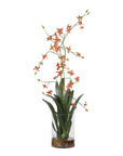 Dancing - Orchid In Glass Vase - Green,Orange