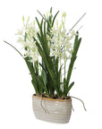 Ariana Orchid - Planter - Gray