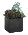 Greystone - Indoor-Outdoor Succulent - Green