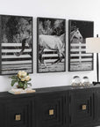 Galloping - Forward Equine Prints (Set of 3)