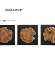 Kolini - Teak Wood Wall Decor (Set of 3)