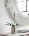 Cami Orchid - Orchid With Brass Pot - White