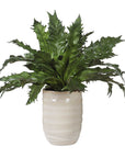 Verdure Fern - In Glazed Pot - White