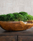 Kinsale - Moss Centerpiece - Light Brown