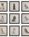 Loyal Companion - Framed Dog Prints (Set of 9)