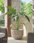 Regalia - Indoor-Outdoor Stone Planter - Brown