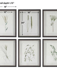 Forest - Finds Framed Prints (Set of 6)