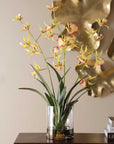 Spider - Orchid In Glass Vase - Green,Pink,Yellow