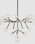 Phoenix - Chandelier - Black/Gold