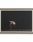 King Of The Hill - Framed Bovine Print - Black