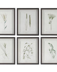 Forest - Finds Framed Prints (Set of 6)