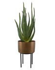 Arabia - Aloe Planter - Brown