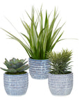 Puebla - Greenery In Blue & White Pots (Set of 3) - Green