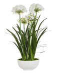 Purity Agapanthus - Centerpiece