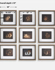 Resting Bunny - Framed Prints (Set of 9) - Dark Brown