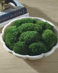 Awaken Moss - Centerpiece - Green / White