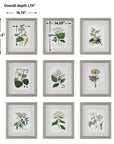 Antique - Botanicals Framed Prints (Set of 9)