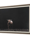 King Of The Hill - Framed Bovine Print - Black