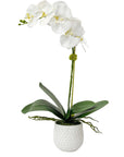 Cami - Orchid - White