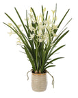 Ariana Orchid - Planter - Gray