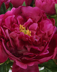 Prima - Peony Bouquet - Pink