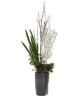 Eterna Orchid - Centerpiece & Vase - Black / Green / White