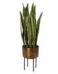 Fasita - Brass Planter 2 Cartons - Green