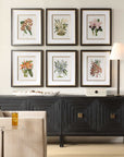 Orchid - Botanical Framed Prints (Set of 6) - Black / Blue / Gold / Green / Orange / Pink / Purple / Red