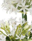 Purity Agapanthus - Centerpiece