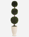 Preserved Boxwood - Triple Topiary - Green