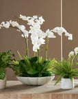 Flourish Orchid - Centerpiece - White