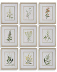 Botanical Flowers - Framed Prints (Set of 9)