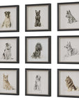 Loyal Companion - Framed Dog Prints (Set of 9)