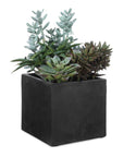 Greystone - Indoor-Outdoor Succulent - Green