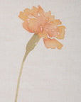 Wild Flourish - Framed Floral Prints (Set of 6) - Light Brown