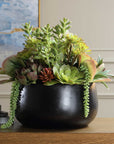 Mico - Indoor-Outdoor Succulent Centerpiece - Black,Green