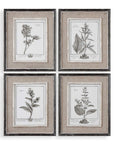 Casual Gray Study - Framed Art (Set of 4) - Beige