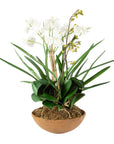 Moth Orchid - Planter - Green