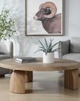 Tiernan - Reclaimed Oak Round Coffee Table - Woodtone