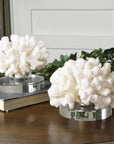 Hard Coral - Sculptures (Set of 2) - White