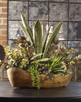 Salar - Succulents In Teak Bowl - Light Brown