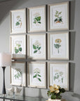 Antique - Botanicals Framed Prints (Set of 9)