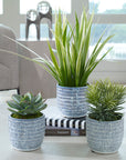 Puebla - Greenery In Blue & White Pots (Set of 3) - Green