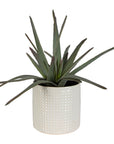 Taos - Aloe Centerpiece - Pearl Silver