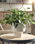 Essence Eucalyptus - Accent & Vase - Green / White