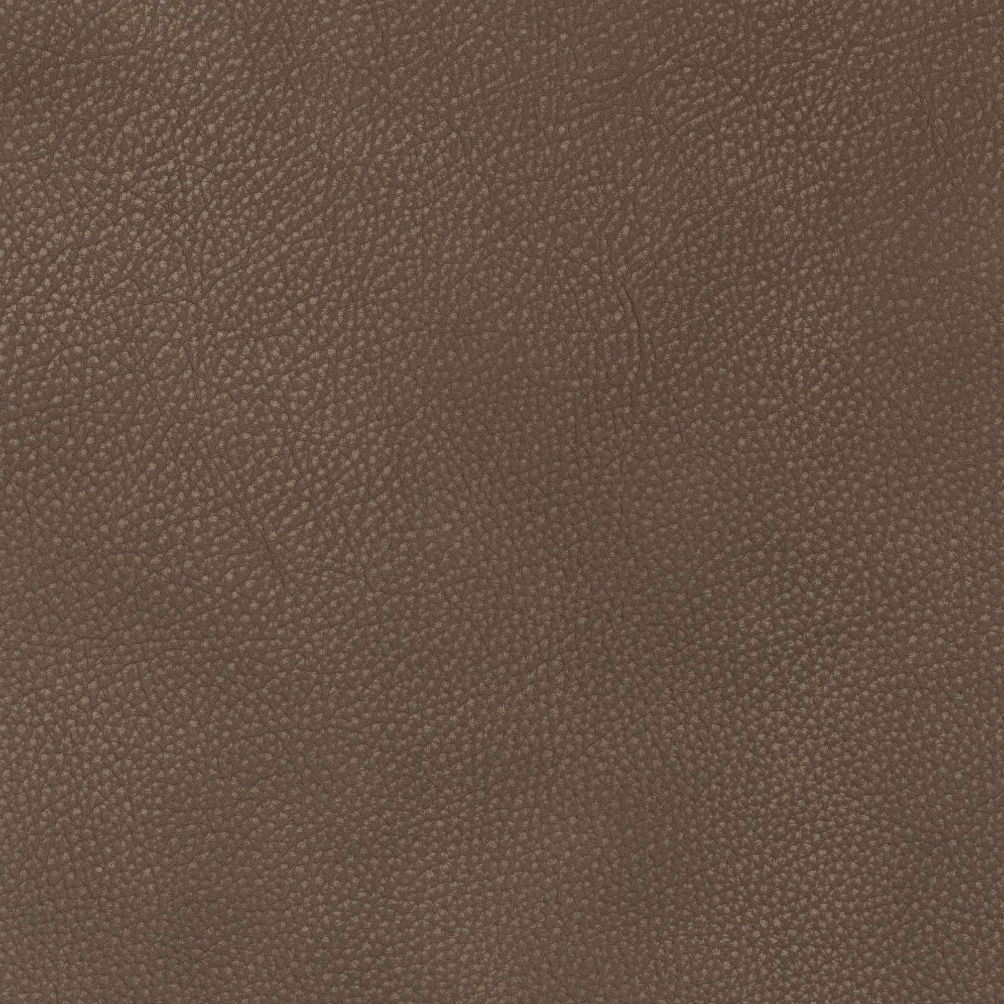 Cassiano - Slip Cover Sofa