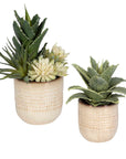 Seaside Succulents (Set of 2) - Pearl Silver