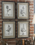 Casual Gray Study - Framed Art (Set of 4) - Beige
